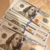 دلار سینمایی|کلکسیون سکه، تمبر، اسکناس|اصفهان, باغ نگاره|دیوار