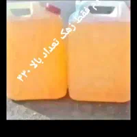 گالن بیست لیتری