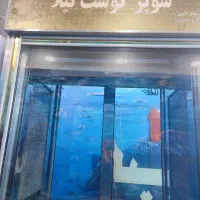 یخچال ایستاده|فروشگاه و مغازه|اهواز, کیان اباد|دیوار
