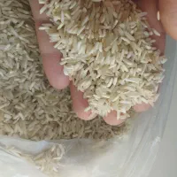 برنج طارم دم سیاه خوش خوراک با عطر فراوان|خوردنی و آشامیدنی|کلاله, |دیوار