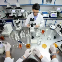 نیازمند همکار کنترل کیفی