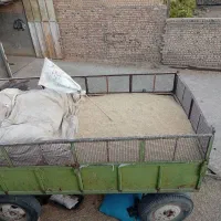 جو دیم بذری