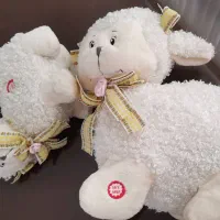 ۲ تا گوسفند پشمالو- کاملا نو