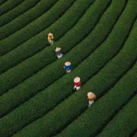 سیم کارت 0912.742.3701