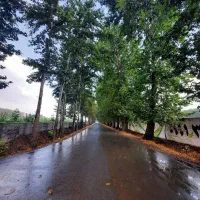 1500متری سندار چهارباغ قوهه