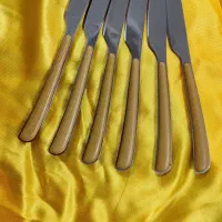 چاقو تمام استیل|ظروف سرو و پذیرایی|قم, کلهری|دیوار