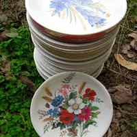 ۳۰عدد بشقاب ۴۰ عدد کاسه خورشت خوری