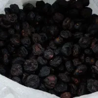 انجیر خشک شده تازه شهرستان کوهدشت|خوردنی و آشامیدنی|تهران, خانی آباد نو شمالی|دیوار