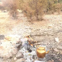 راهنمایی دانشکده کشاورزی