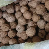 گردوکاغذی سفید بدون پوکی کیلویی ۵۵۰