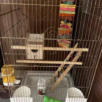 قفس بزرگ پرنده|لوازم جانبی حیوانات|اصفهان, خواجو|دیوار