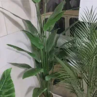 پرنده بهشتی