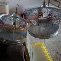 قفس ترقه دوتا معاوضه