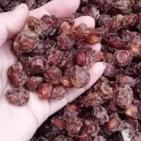 آلبالو خشک|خوردنی و آشامیدنی|قم, شهرک مهدیه|دیوار