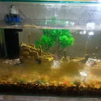 آکواریوم شیشه خم با تمام تجهیزات|ماهی|کاشان, سلطان امیر احمد|دیوار