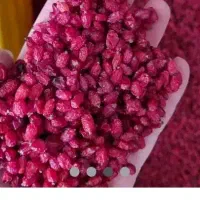 زرشک‌پفکی‌کیلوی‌۶۳۰