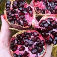 انار دونه مشکی قلعه چم|خوردنی و آشامیدنی|سلفچگان, |دیوار