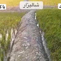 کود ارگانیک افزایش محصولات چندبرابر|گل و گیاه طبیعی|مشهد, کلاهدوز|دیوار