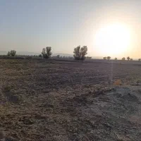 فروش یک شبانه روز آب و زمین و پسته نهبندان|فروش دفتر صنعتی، کشاورزی، تجاری|نهبندان, |دیوار