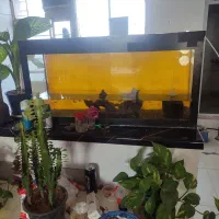 یک عدآکواریوم باهمین لوازم که میبینی