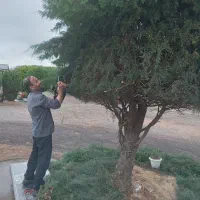 خدمات باغبانی وهرس