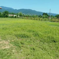 400مترزمین سند تک برگ شیش دانگ در شاندرمن پای کوه