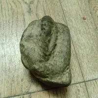 سنگ 50 هزار تومن فسیلی