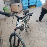 دوچرخه ۲۶ viva|دوچرخه، اسکیت، اسکوتر|لاران, |دیوار