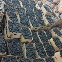 زغال سکه لیمو سرامیکی