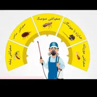 سمپاشی100٪تضمینی ساس سوسک کک کنه موش 24س