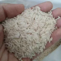 برنج شمال خوشپخت خرید مستقیم