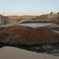 پهن گوسفندی