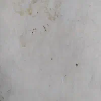 ضامن وام میخوام