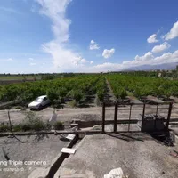 باغ باغشن زبرخان نیشابور|فروش زمین و ملک کلنگی|مشهد, شهرآرا|دیوار