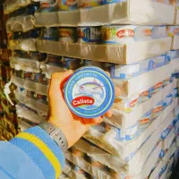 تن ماهی کالیستو ۱۸۰ گرم