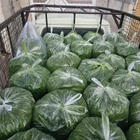 پخش سبزی خردشده پلو کوکو آش و....|خوردنی و آشامیدنی|تهران, ائمه اطهار|دیوار