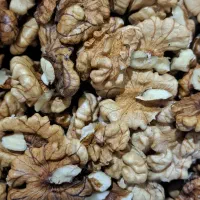 گردو پرچرب منطقه کوهستانی