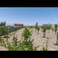 فروش باغ گلدشت (تانکر آباد)