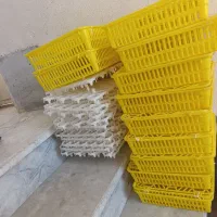 دستگاه جوجه کشی|لوازم جانبی حیوانات|نورآباد ممسنی, |دیوار