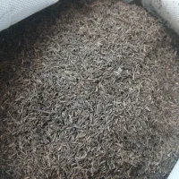 زیره کوهی اصل
