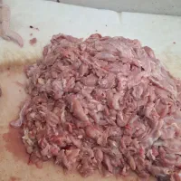 بچه فیله   . پا مرغ