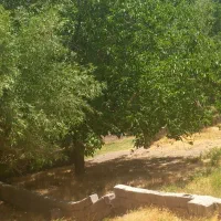 زمین فروشی