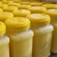 روغن حیوانی ۱۰۰٪ خالص گاوی - کیفیت درجه یک