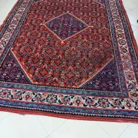 دوتخته فرش دستباف ۶ متری|فرش|ری, جوانمرد قصاب|دیوار
