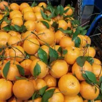 نارنگی خارو شیرین