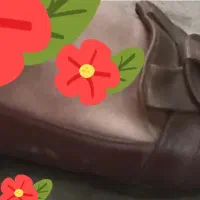 کالج|کیف، کفش، کمربند|آستانه اشرفیه, |دیوار