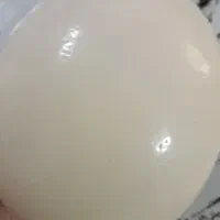پوکه تخم مرغ
