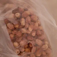خرما طبس