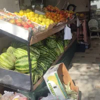 میوه فروشی|فروشگاه و مغازه|گلبهار, شهر جدید گلبهار|دیوار