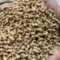 فروش دان پلت مرغ گوشتی ،تخمگذار ،بومی